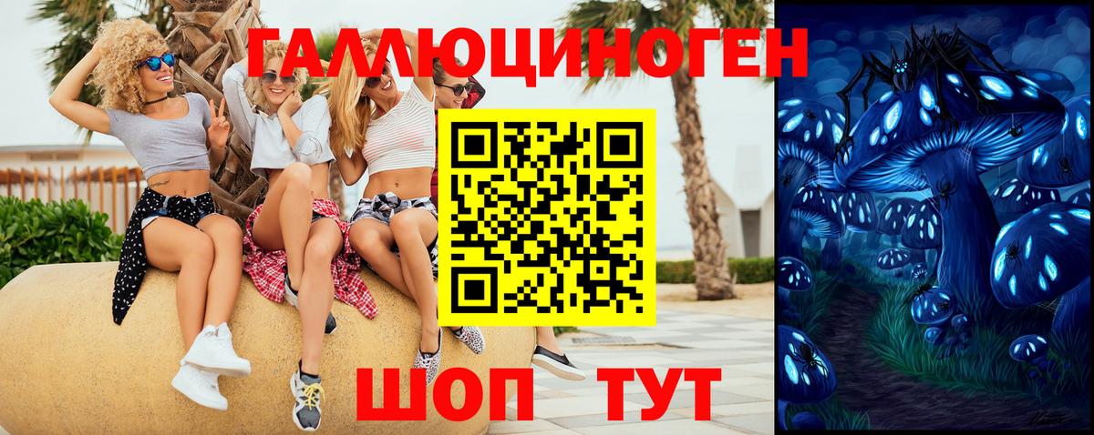 Белогорск  Галлюциногенные грибы MAGIC MUSHROOMS  Вход с VPN 